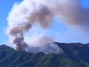 Μαίνεται η φωτιά στη Θάσο: Ενισχύθηκαν οι δυνάμεις της Πυροσβεστικής