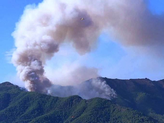 Μαίνεται η φωτιά στη Θάσο: Ενισχύθηκαν οι δυνάμεις της Πυροσβεστικής | tanea.gr