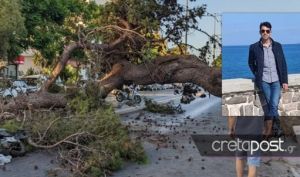 Κρήτη: Το βίντεο ντοκουμέντο με την πτώση του δέντρου που σκότωσε τον 51χρονο
