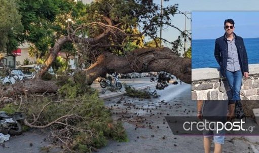 Κρήτη: Το βίντεο ντοκουμέντο με την πτώση του δέντρου που σκότωσε τον 51χρονο | tanea.gr