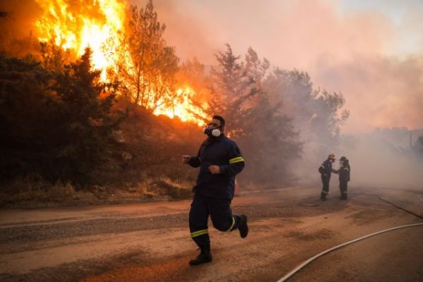 Φωτιά στη Φθιώτιδα: Στις φλόγες δασική έκταση στο Πετρωτό Δομοκού