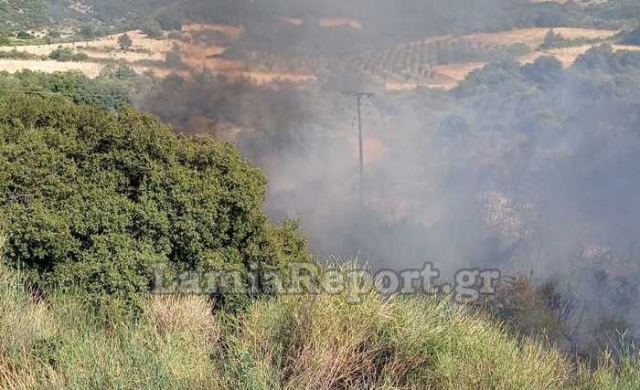 Φθιώτιδα: Φωτιά στο Λογγίτσι | tanea.gr