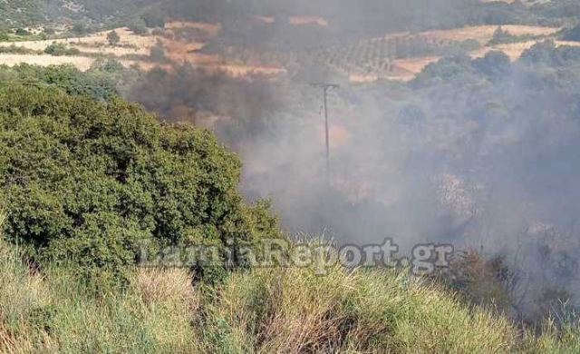 Φθιώτιδα: Φωτιά στο Λογγίτσι