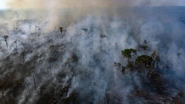 Τρόμος από την αποψίλωση του Αμαζονίου - Καταστράφηκαν 5.474 στρέμματα δάσους σε επτά μήνες | tanea.gr