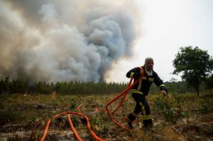 Φωτιά τώρα στα Οινόφυτα – Ισχυρές πυροσβεστικές δυνάμεις