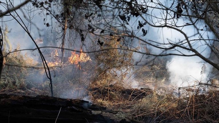 Γαλλία: Μαίνονται οι πυρκαγιές – Στάχτη 60.000 στρέμματα | tanea.gr