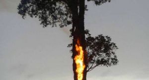 Φωτιά από κεραυνό στη Ρόδο – Επιχειρεί ελικόπτερο