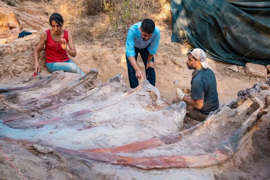 Έσκαβε στην αυλή του και βρήκε τον μεγαλύτερο δεινόσαυρο στην Ευρώπη