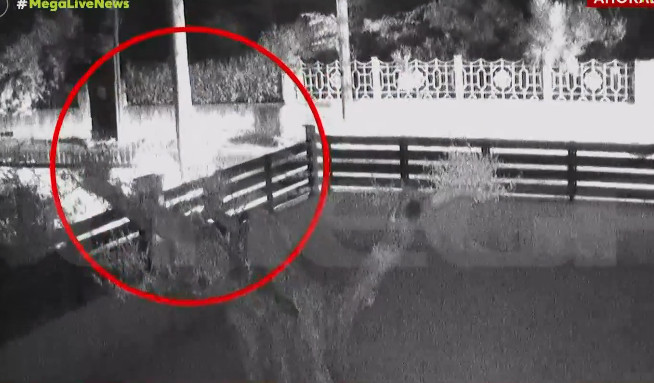 Κόρινθος: Η στιγμή της παράσυρσης 19χρονου από οδηγό – Έβαλε όπισθεν και τον ξαναπάτησε