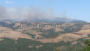 Δύο πύρινα μέτωπα στο Πετρωτό Δομοκού