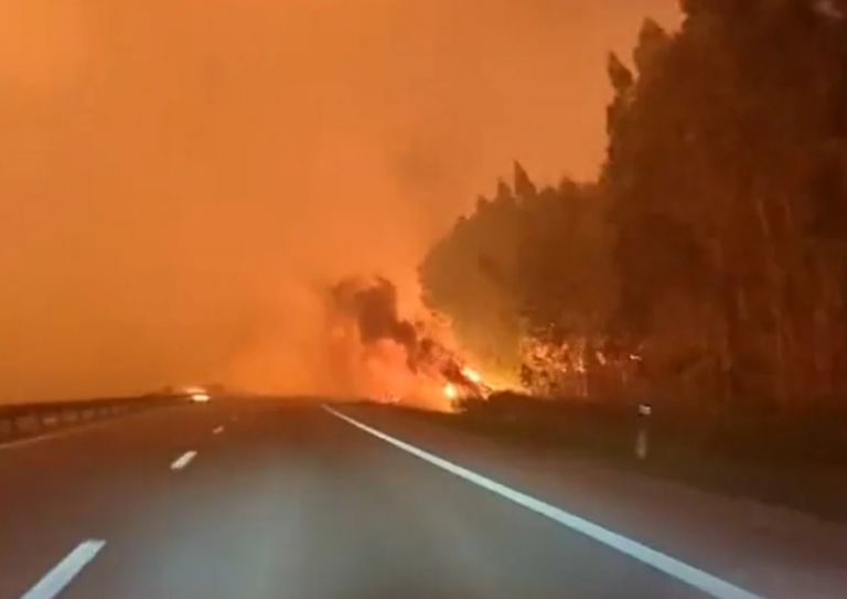 ΕΕ: Οι δασικές πυρκαγιές στην Ευρώπη έκαψαν τη δεύτερη μεγαλύτερη σε έκταση περιοχή στα χρονικά | tanea.gr