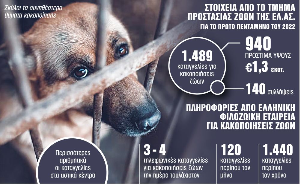 Κορυφή του παγόβουνου οι κακοποιήσεις που γίνονται γνωστές