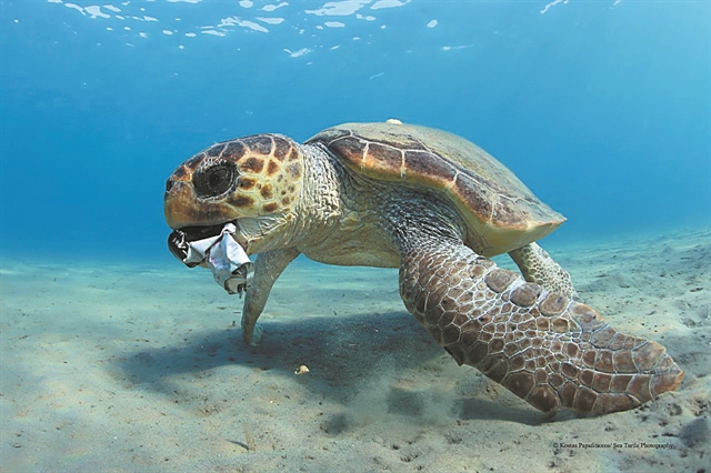 Οι θηρευτές των μεδουσών υπό απειλή