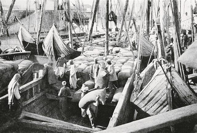 Βαμβάκι: μια ιστορία της παγκοσμιοποίησης