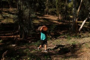 Οι Ευρωπαίοι στο… «κυνήγι» των καυσόξυλων