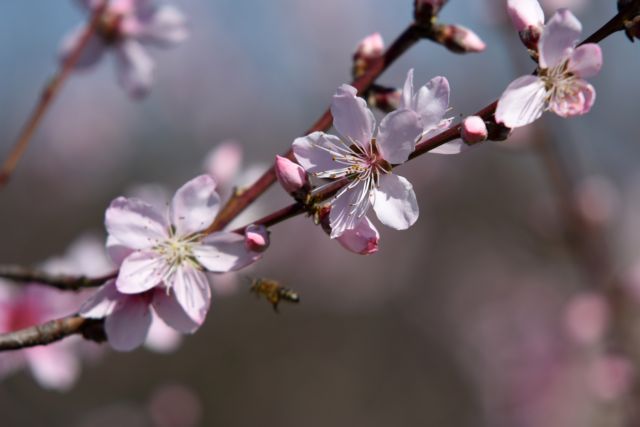 Αρχίζει και τυπικά το φθινόπωρο την Παρασκευή