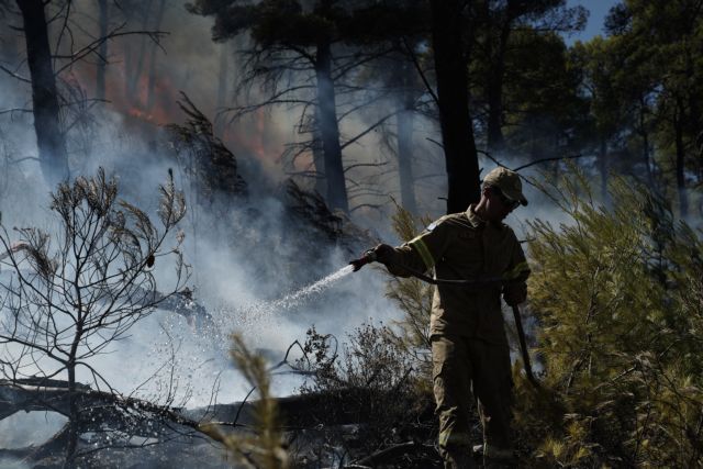 Φωτιά στο Μαρκόπουλο – Καίει χαμηλή βλάστηση