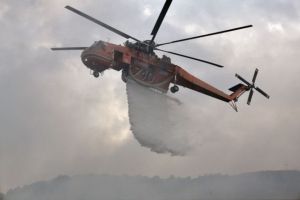 Φωτιά στη Μάνη: Συναγερμός στην Πυροσβεστική