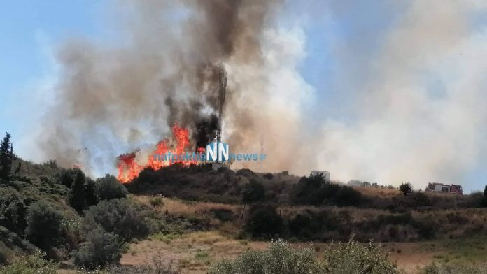 Συναγερμός στην Πυροσβεστική: Πυρκαγιά στη Ναύπακτο | tanea.gr