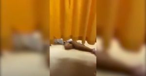 Νοσοκομείο Χανίων: Ασθενής σερνόταν στο πάτωμα των ΤΕΠ