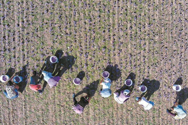 Η μέθοδος του σεβασμού