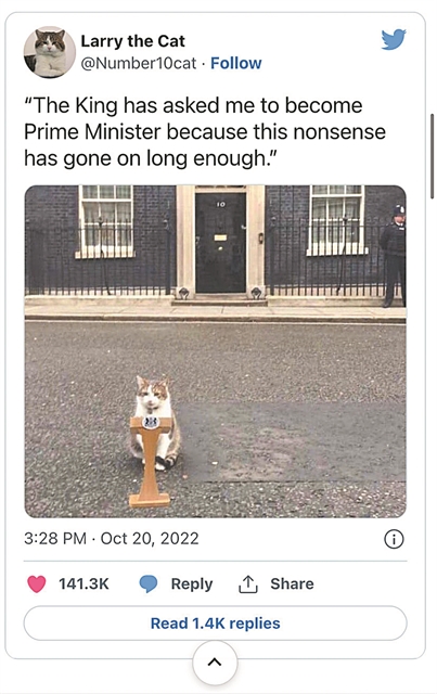 Ενας ποντικοκυνηγός για την ηγεσία!