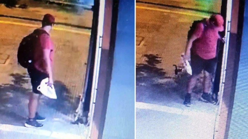 Ταυτοποιήθηκε ο άνδρας που πάτησε και σκότωσε το γατάκι