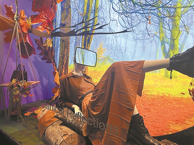 Στα χρώματα των χρυσανθέμων…