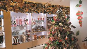 Ο μαγικός αρκούδος και ένα δείπνο στα βόρεια…