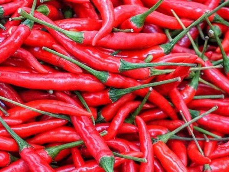 Καυτερές πιπεριές: Γιατί δεν πρέπει να πίνετε νερό μετά την κατανάλωσή τους