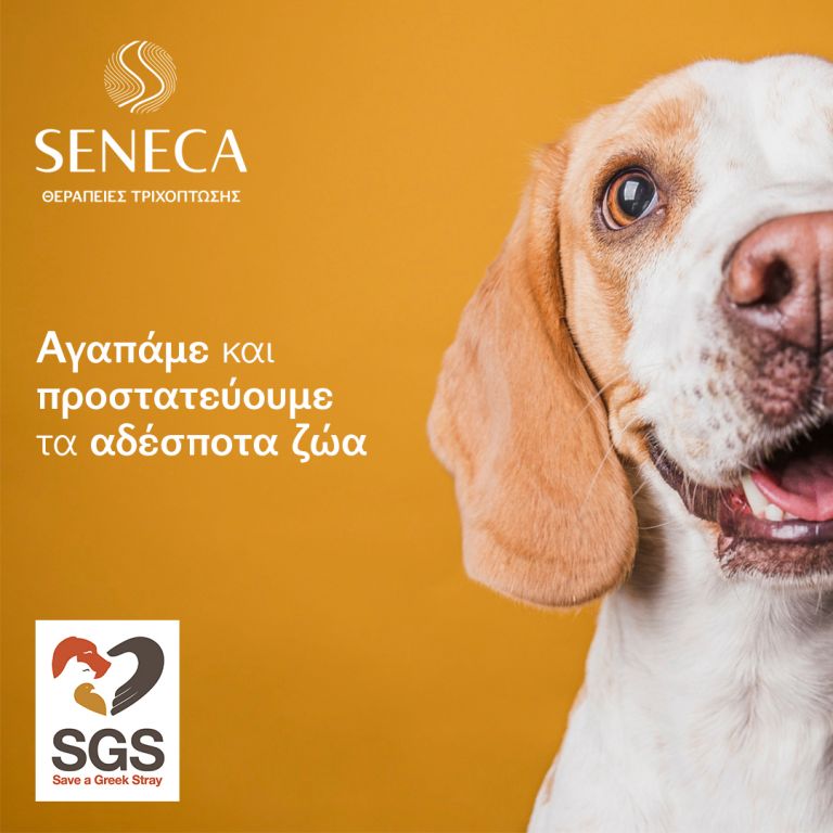 Seneca Medical Group: στηρίζοντας την κοινωνία και τον αθλητισμό | tanea.gr