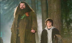 Πέθανε πασίγνωστος ηθοποιός του Χάρι Πότερ