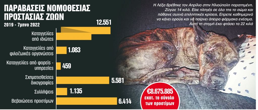 Οι πολίτες πλέον καταγγέλλουν τις κακοποιήσεις ζώων