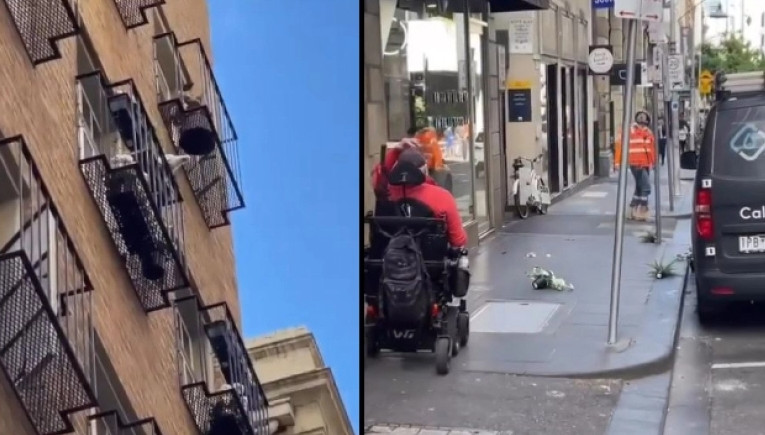 Παπαγάλος σκορπά… τρόμο σε γειτονιά στη Μελβούρνη: Πετάει γλάστρες από το μπαλκόνι στους περαστικούς