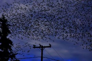 Κακοκαιρία Αριελ: Νέο, επικαιροποιημένο δελτίο επικίνδυνων καιρικών φαινομένων