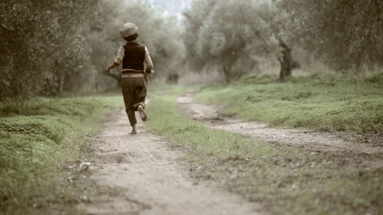 Κιβωτός του Κόσμου: Μέχρι ελιές έστελναν τα παιδιά να μαζέψουν στη Μυτιλήνη | tanea.gr