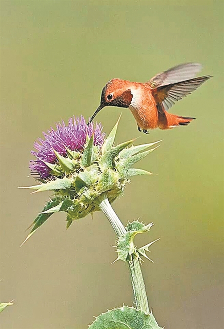Oλα στη ζωή είναι χάλια – ή μήπως όχι;