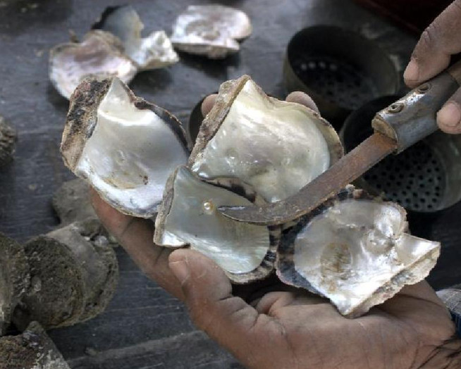 Τα μαργαριτάρια του Κατάρ: Ποια είναι η ιστορία του «λευκού θησαυρού»