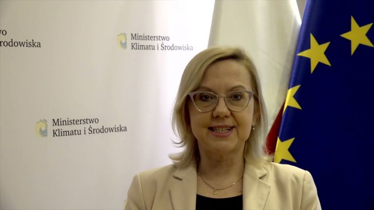 Πολωνή υπουργός: Αστεία η πρόταση της Κομισιόν για το πλαφόν | tanea.gr