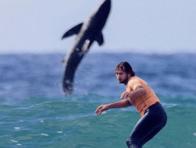 Καρχαρίας έκανε… photobombing σε σέρφερ – Τρομακτικό στιγμιότυπο