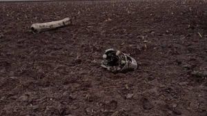 Ουκρανικός πύραυλος S-300 έπεσε στη Λευκορωσία