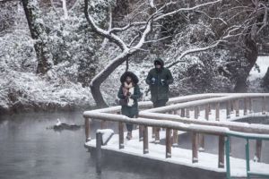 Τα Μερομήνια μίλησαν: Ερχονται «λευκά» Χριστούγεννα – Πρόγνωση για τον χειμώνα