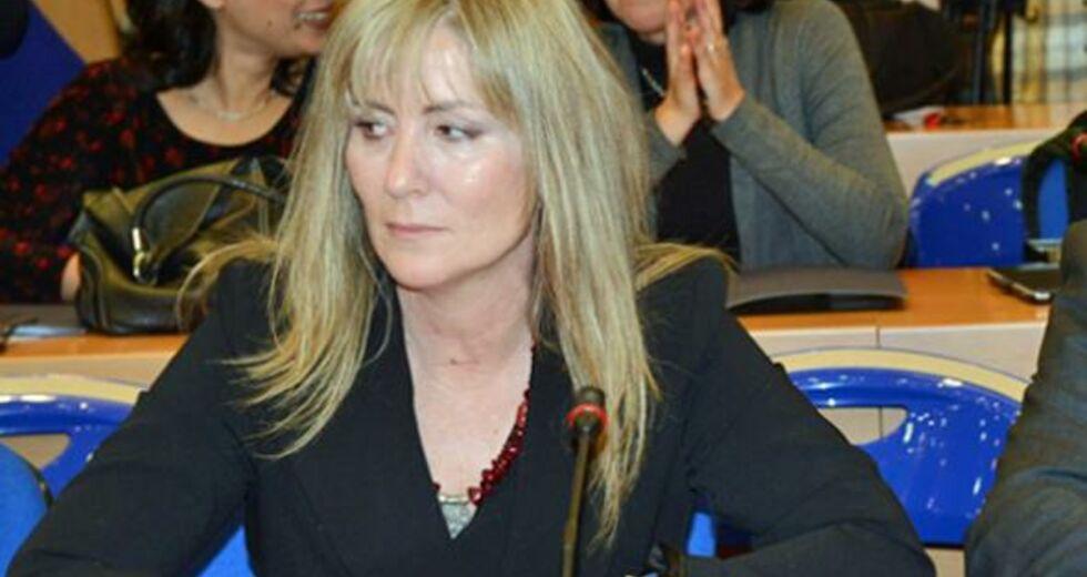 Για αντιθεσμική παρέμβαση κατηγορούν τον Α. Γεωργιάδη οι συνήγοροι της Ε. Τουλουπάκη