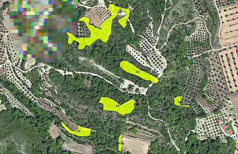 20 ερωτήσεις - απαντήσεις για τους δασικούς χάρτες | tanea.gr