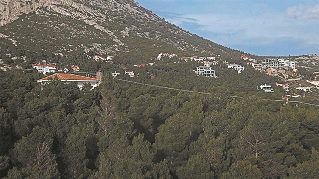 10+1 σημεία-κλειδιά για τους δασικούς χάρτες