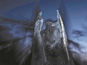 Η οικολογία του μυστηρίου