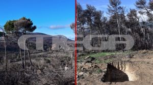 Πώς το Τατόι άλλαξε όψη μέσα σε δύο μέρες