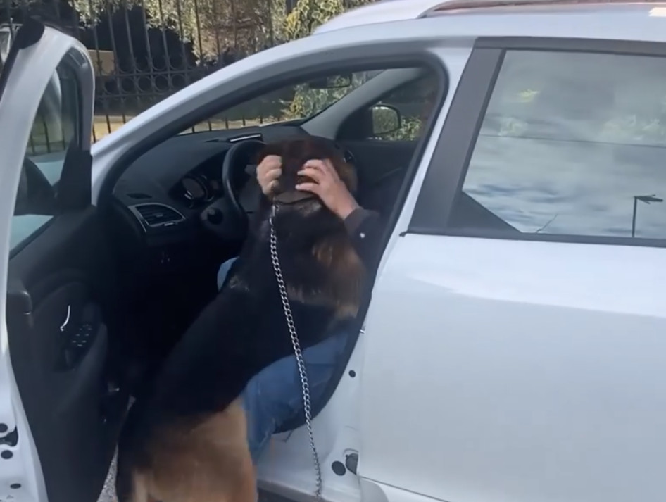 Σκύλος γνώρισε αμέσως τον ιδιοκτήτη του μετά από πέντε χρόνια