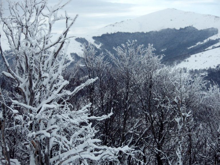 Χιόνι: Πότε θα το «στρώσει» σε χαμηλά υψόμετρα – Καταιγίδες και πτώση της θερμοκρασίας σήμερα | tanea.gr