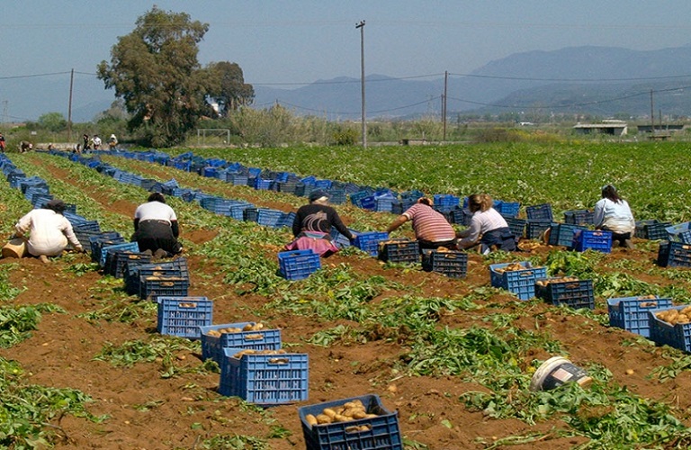 Εργάτες γης: Στη Βουλή η συμφωνία Ελλάδας – Αιγύπτου | tanea.gr